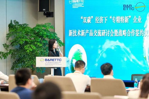 雙碳目標(biāo)引領(lǐng)未來 智能網(wǎng)聯(lián)車企轉(zhuǎn)型之路與一帶一路合作新機(jī)遇